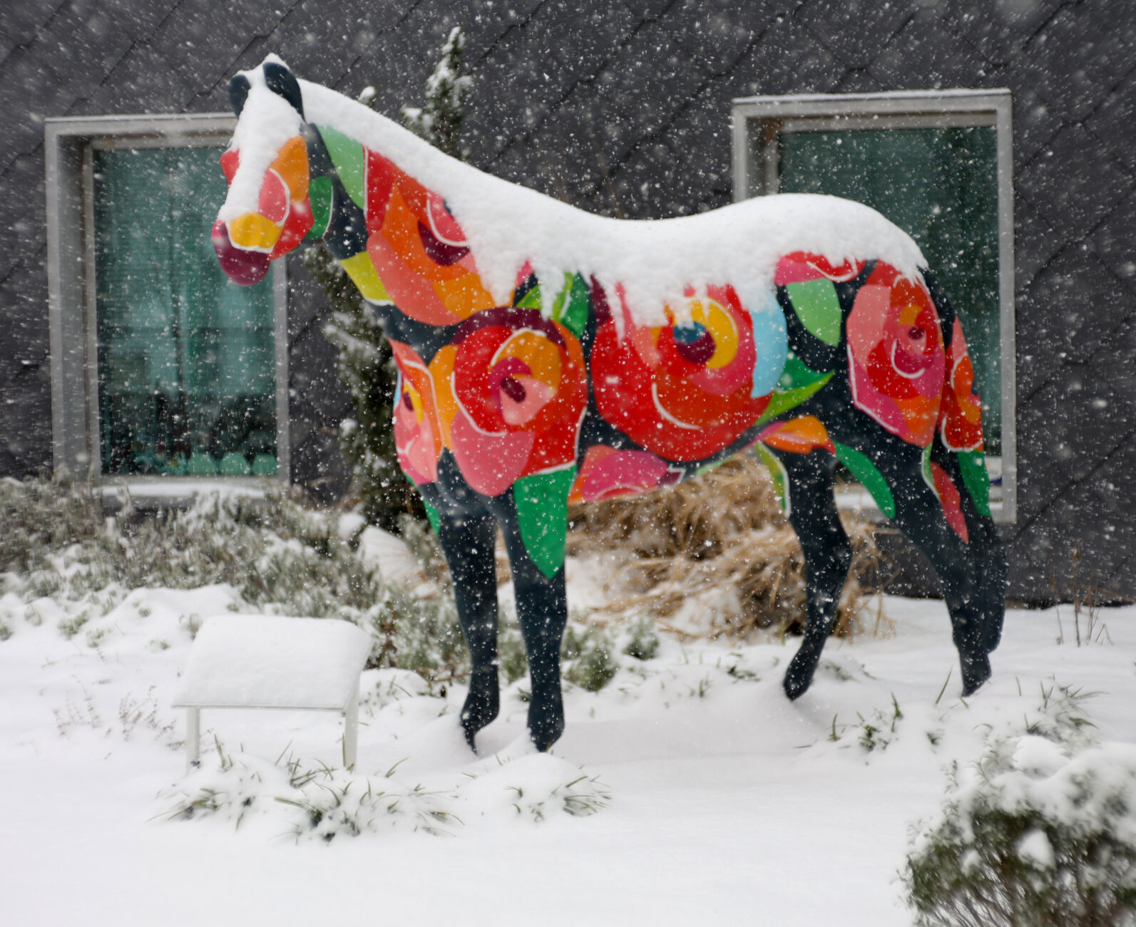 Horse statue with snow - Jan. 5, 2025.JPG